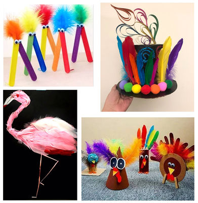Various size of goose feathers, turkey feathers, chicken feathers, peacock , ostrich feathers for hobbies and kids DIY supplier