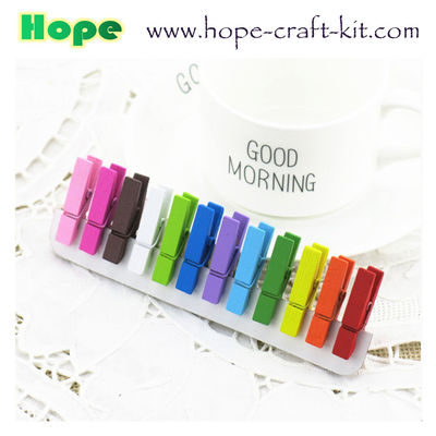 Natural Wood Color Solid Wooden Clothpins Clips Pegs with Animal Fruit Christmas 25 X 3mm supplier