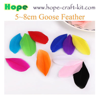 Peacock feathers, goose feathers, turkey chicken feathers for hobbies and children kids STEM hand-crafted DIY material supplier