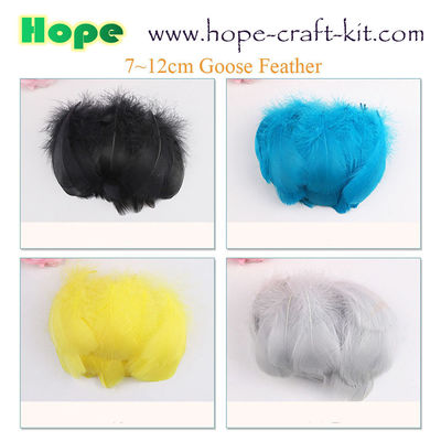 Various size of goose feathers, turkey feathers, chicken feathers, peacock , ostrich feathers for hobbies and kids DIY supplier