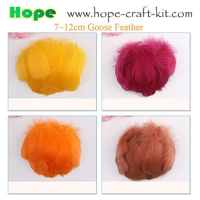 Various size of goose feathers, turkey feathers, chicken feathers, peacock , ostrich feathers for hobbies and kids DIY supplier