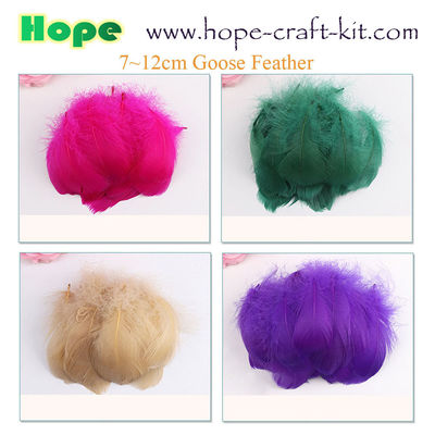 Peacock feathers, goose feathers, turkey chicken feathers for hobbies and children kids STEM hand-crafted DIY material supplier