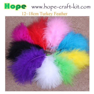 Peacock feathers, goose feathers, turkey chicken feathers for hobbies and children kids STEM hand-crafted DIY material supplier