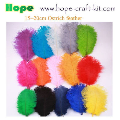 Peacock feathers, goose feathers, turkey chicken feathers for hobbies and children kids STEM hand-crafted DIY material supplier
