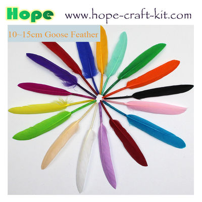 Peacock feathers, goose feathers, turkey chicken feathers for hobbies and children kids STEM hand-crafted DIY material supplier
