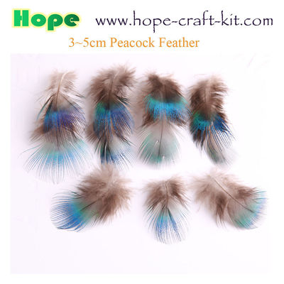 Peacock feathers, goose feathers, turkey chicken feathers for hobbies and children kids STEM hand-crafted DIY material supplier