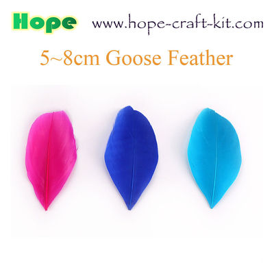 Various size of goose feathers, turkey feathers, chicken feathers, peacock , ostrich feathers for hobbies and kids DIY supplier